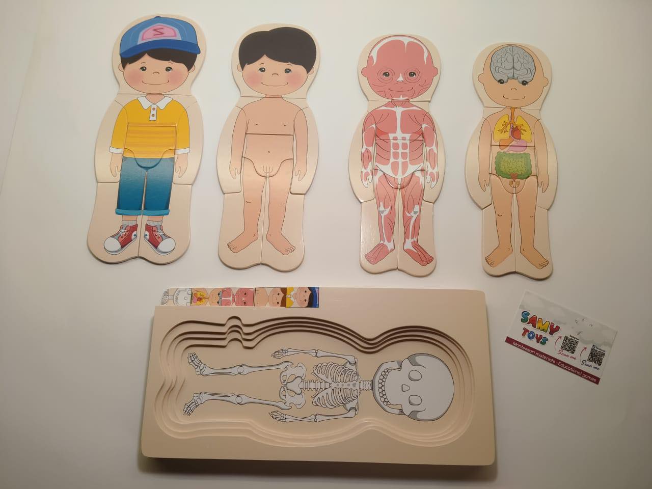 بازل جسم الانسان ولد