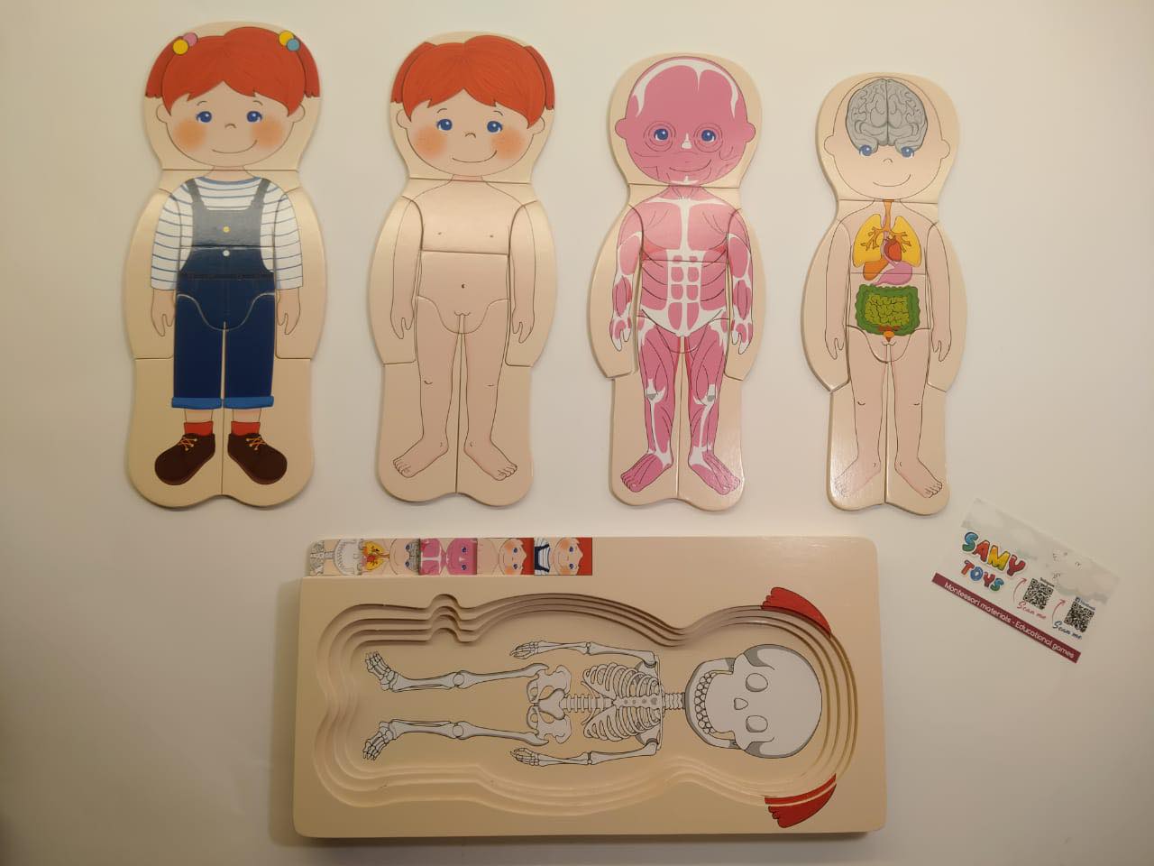 بازل جسم الانسان بنت